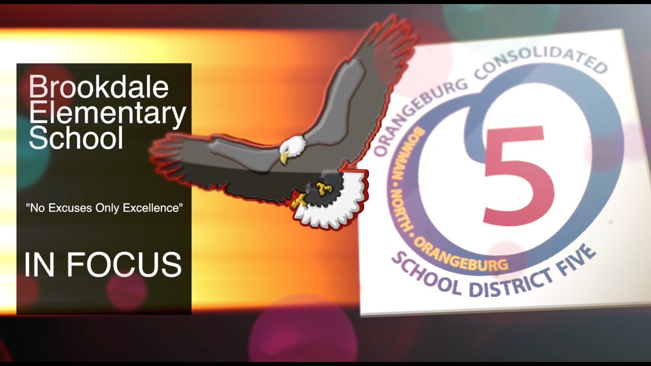 Brookdale Elementary School IN FOCUS 2018 YouTube