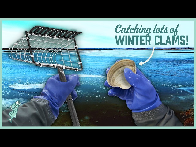 catching clams fishing pole Predator Tip Up this Clam Light Action Combo has got everything you need for recreational ice fishing. Does this rarely happen? Caught