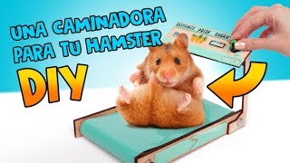 Para que tu hamster siempre esté en forma, hazle una caminadora🐹