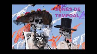 Video thumbnail of "El Piojo y La Pulga   Trio Nacimiento Huasteco Sones De Xantolo Tempoal"