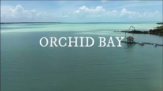 Explore Orchid Bay Belize 🌴 Stunning Waterfront Community & Properties for Sale in Belize