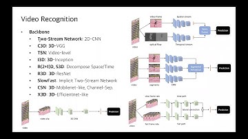 PR-300: Self-Supervised Co-Training for Video Representation Learning