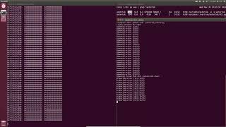 PIROP exploit launching a shell in Asterisk (EuroSP '18) Net Worth