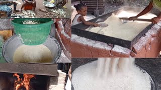How Garri is processed from start to finish// Garri production factory in Nigeria.