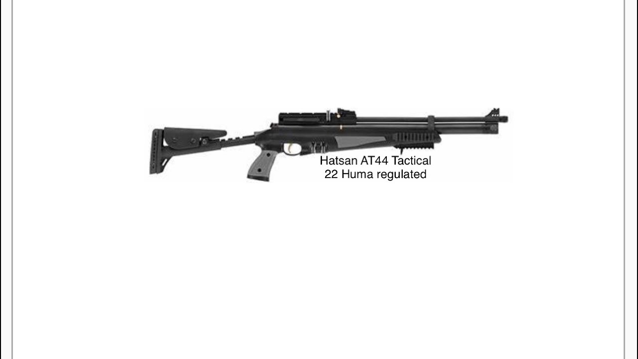 *Pesting video* Hatsan Monday! AT44 Tactical Huma regulated 22 