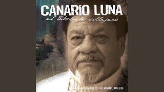 Vignette de la vidéo "Canario Luna - El Murguero Oriental"