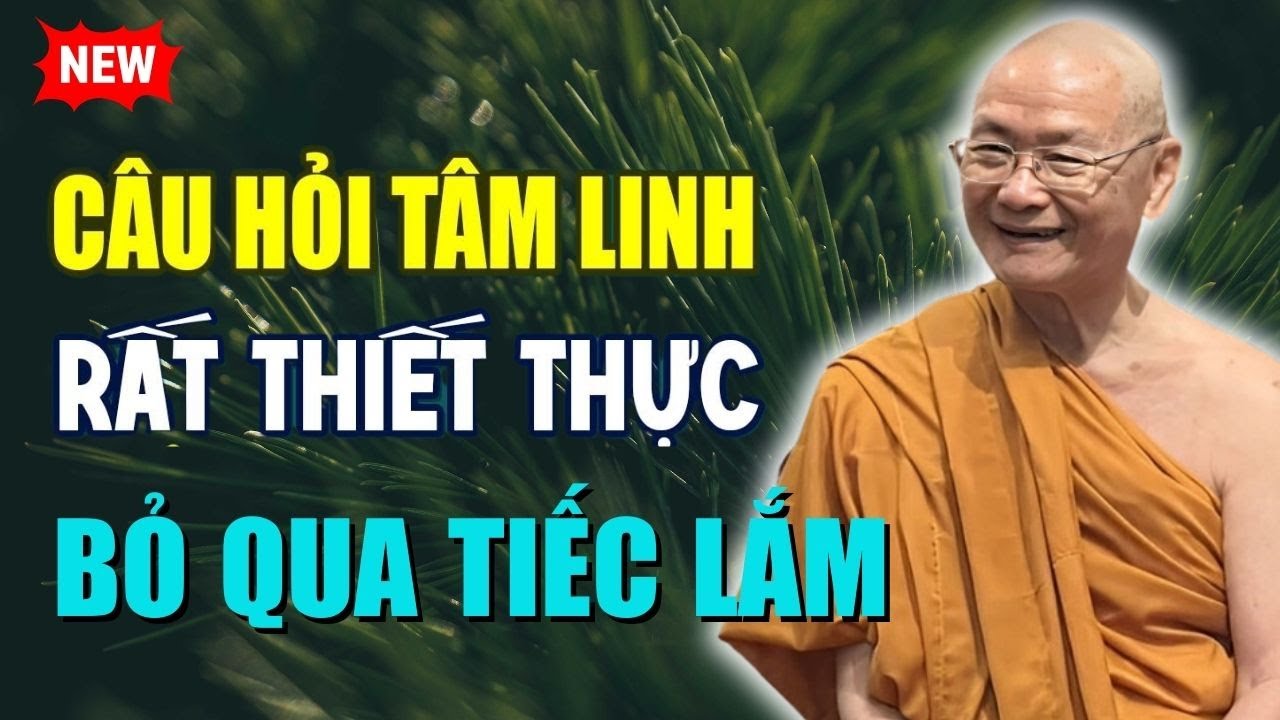 Những Câu Hỏi Rất Thực Tế Trong Đời Sống | HT. Viên Minh (Nên Nghe)