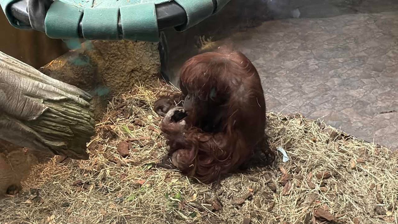 Drinking a Latte Talking about YouTube and Gardening