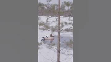 How to Survive Falling Through Ice