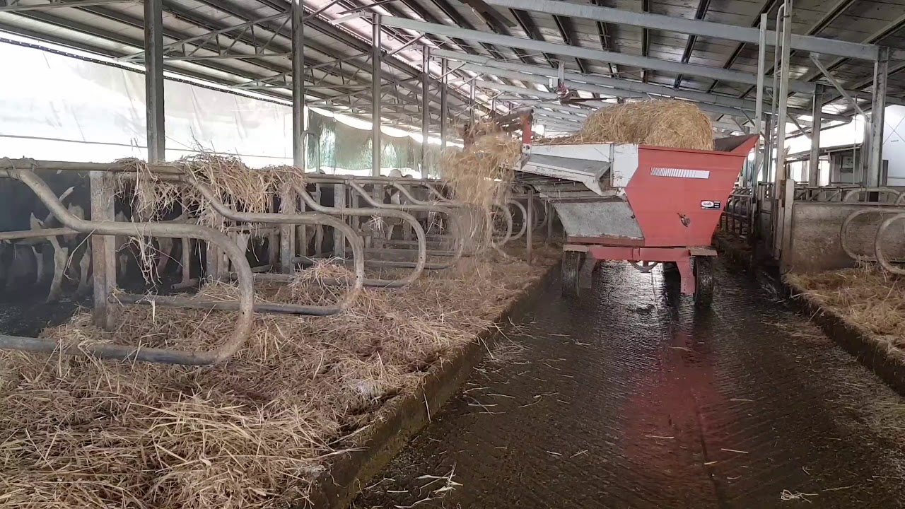 Meno MASTITI con le cuccette pulite