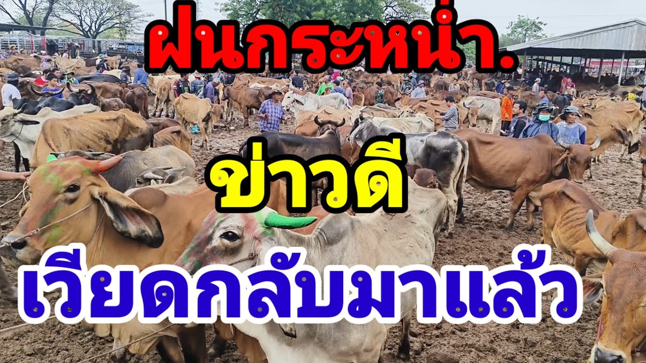 25 กุมภาพันธ์ ค.ศ. 2026