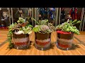 Succulent Candle Jars Arrangements