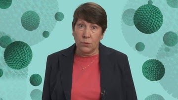 Viral Safety for Monoclonal Antibodies