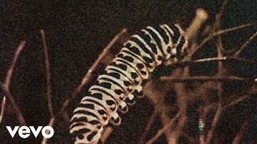 Paris Paloma - boys, bugs and men [Official Video]