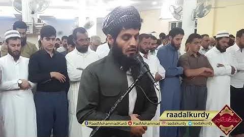 تلاوة من سورة الجاثية للقارئ رعد بن محمد الكردي