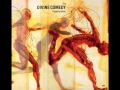 Divine Comedy - Eye Of The Needle