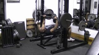 Heavy Negatives or Negative Reps For Mass