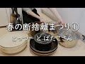 【シンプリスト】春の断捨離まつり① - キッチン収納・クローゼット・タオル・リビング