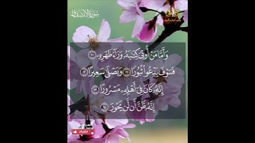 سورة الانشقاق || Al-Inshiqāq فأما من أوتي كتابه بيمينه
