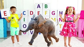 Diana dan Roma belajar alfabet bahasa Inggris