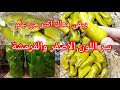 الطريقة الصحيحة لترقيد الفلفل الحار هاد الوصفة خبيها مليح في عينيك النصائح المهمة كامل هنا