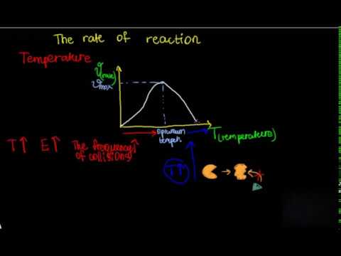 Активность фермента (Enzyme activity). Влияние температуры, рН, концентрации субстрата