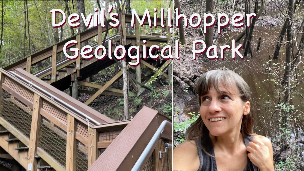 Devil’s Millhopper Geological State Park | Florida Rainforest ...