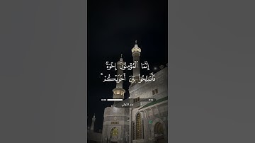 سورة الحجرات - آية 10 | بدر التركي