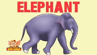 Animal Facts - Elephant screenshot 4