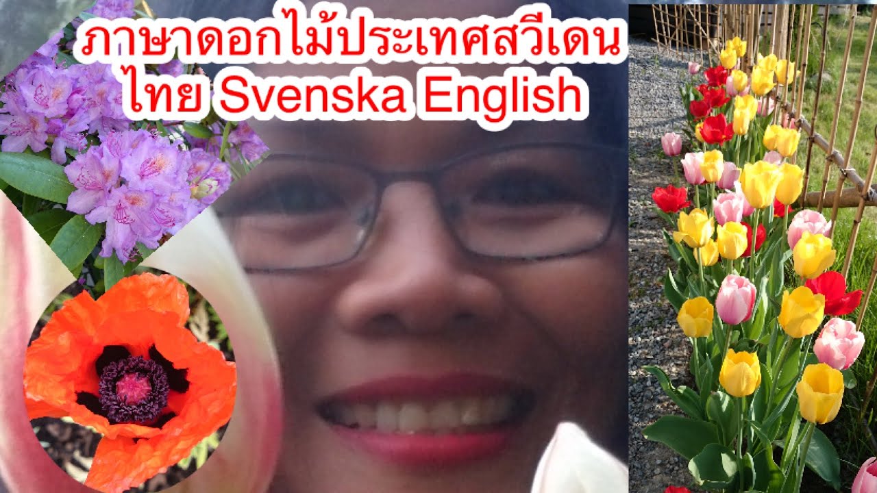 ภาษาดอกไม้สวยประเทศสวีเดน ไทย Svenska English มารู้จักดอกไม้กันThe language of flowers