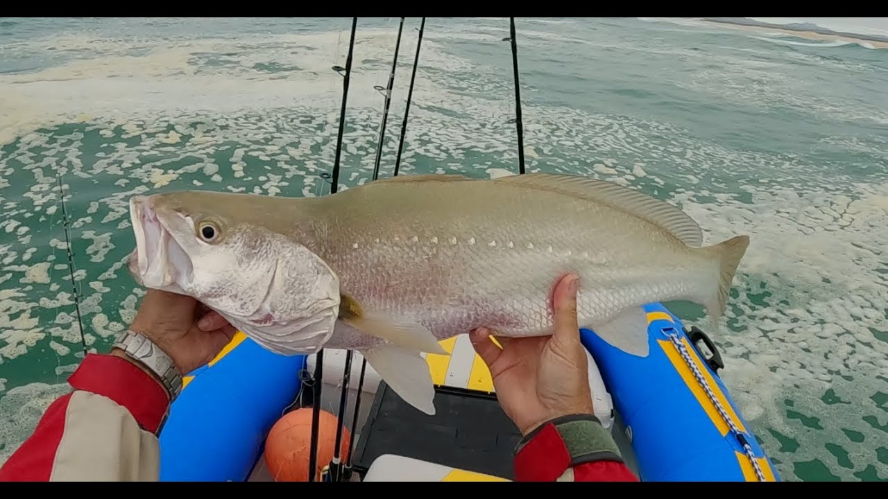 First Kob Trolled at JBay 2025!!