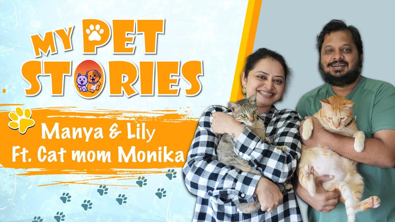 EP.2 |My Pet Story With Cat Mom Monika Dabade |Tharla Tar Mag |Star Pravah