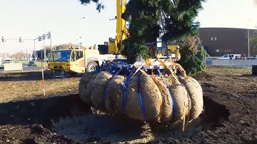 Awesome Machine - Moving and Transplanting Trees with a Tree Spade