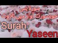 Surah yasin full yaseen beautiful recitation by hafiz waleed hassan