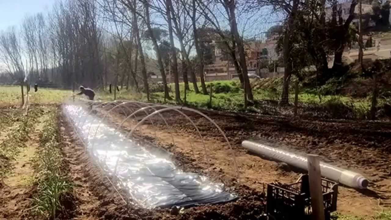 Cómo crear un mini túnel invernadero