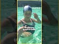 En pleine canicule, rien de tel qu’un bon plongeon !