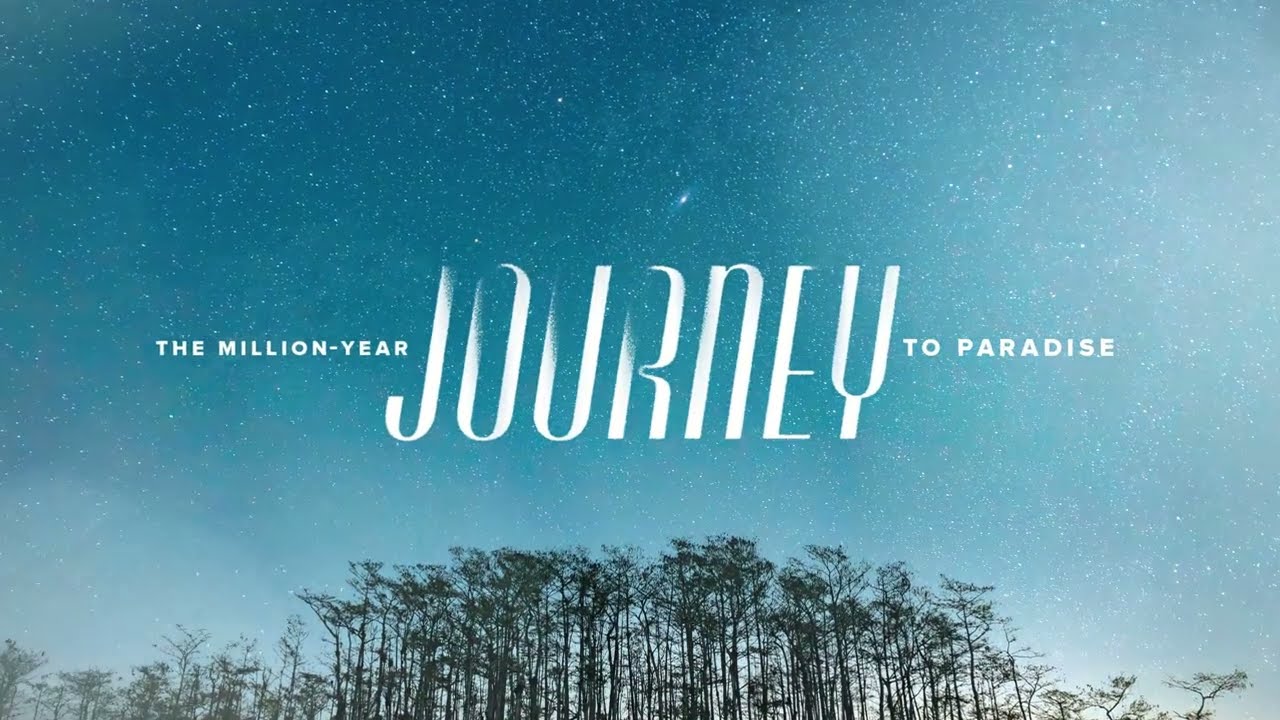 The Million Year Journey to Paradise