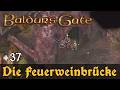 #37: Die Feuerweinbrücke ✦ Let's Play Baldur's Gate 1 (EE) ✦ Slow-, Long- &amp; Roleplay