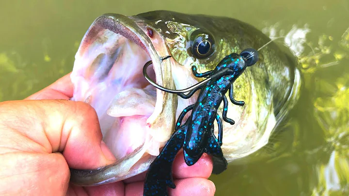 WOOD Flippin' MISTAKES We All Make