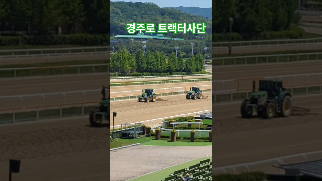 경주로가 깔끔해집니다#경마 #말#달려라말 #shorts