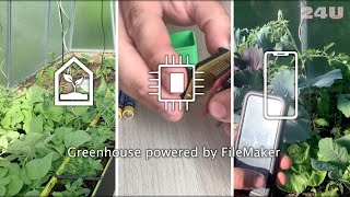 Famous Automated Greenhouse Climate Control powered by Claris FileMaker and Hardwario IoT Profile