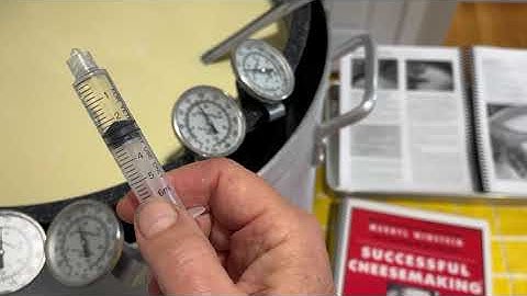 RENNET  SQUIRTS INTO MOVING MILK. Don