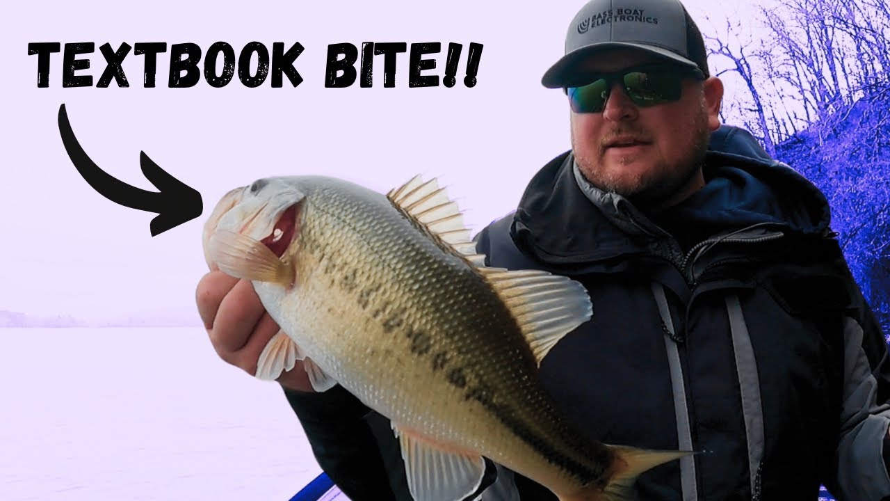 DIALED On Lake Chickamauga In January!! Largemouth, Smallmouth & Spotted Bass on A Jerkbait!!