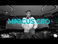 Marcus cito wildwechselwels  wild room techno live session