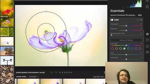 Luminar Masking: A Guide to Masking in Luminar 4