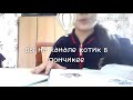 Типы школьников на уроке!!!