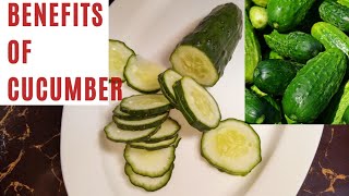 7 BENEFITS OF CUCUMBERS ON YOUR HEALTH