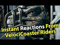 Our Viewers Ride the Velocicoaster and Give Us Their Reactions!