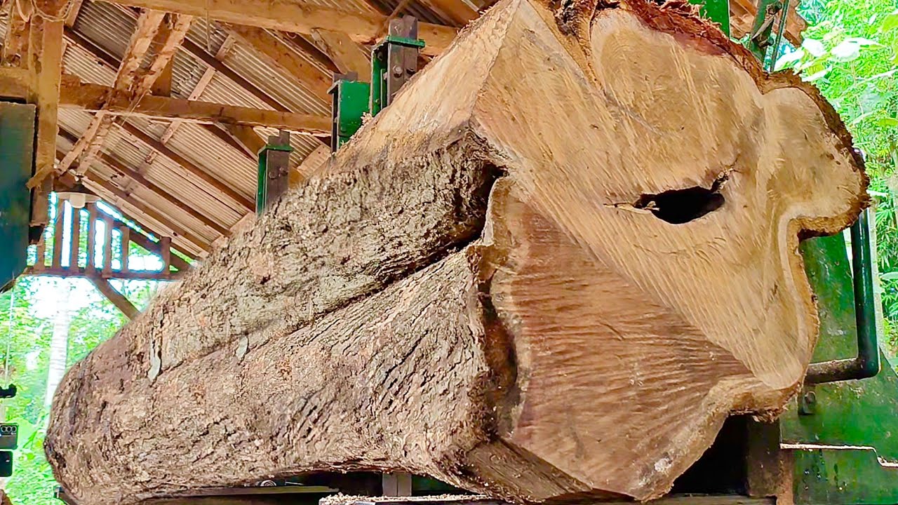 Процесс распиловки двух бревен из старой тиковой древесины.