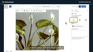 WordPress Block Editor for Beginners: Build and Edit a Complete Page